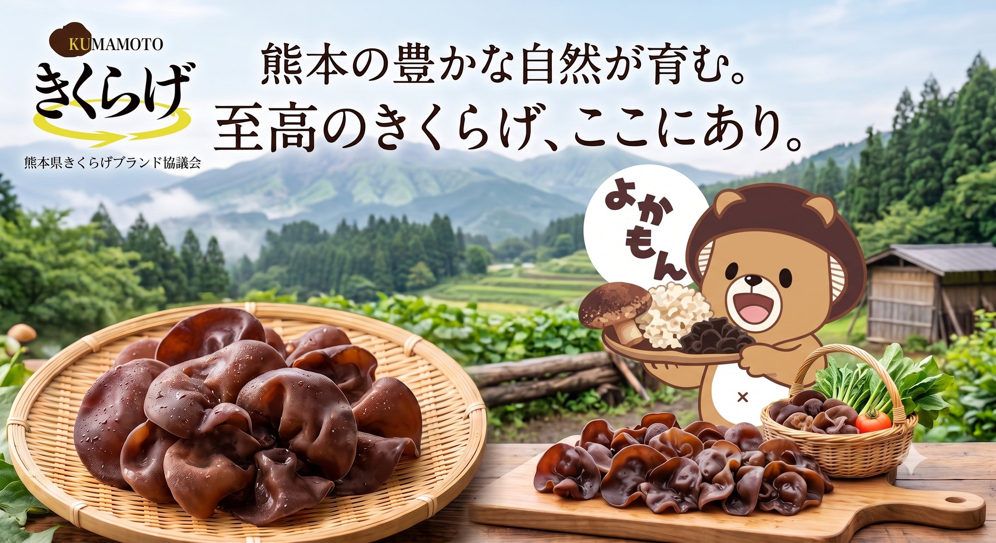 熊本の豊かな自然が育む。至高のきくらげ、ここにあり。